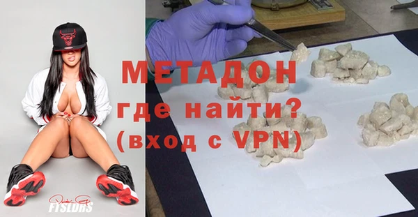 индика Алексин