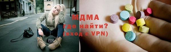 индика Алексин
