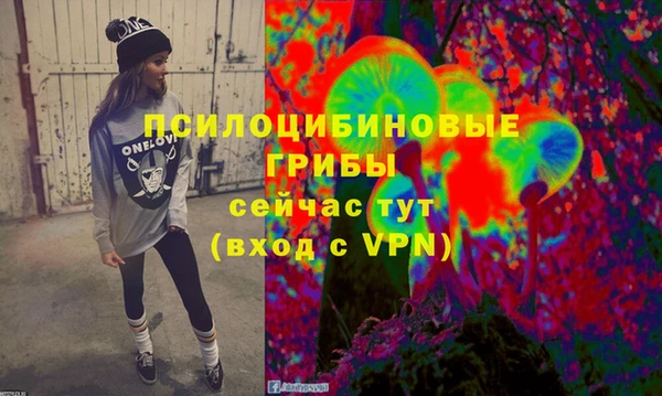 индика Алексин