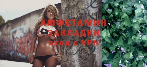 индика Алексин
